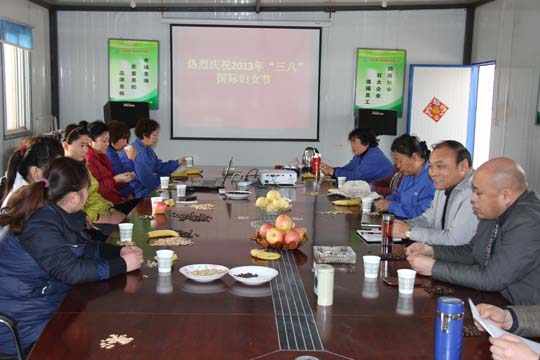 华能电力工程部项目部组织召开女工座谈会